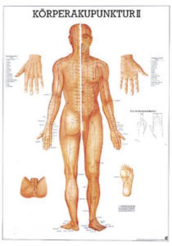 Lehrtafel Körperakupunktur II, 70x100cm, 1St