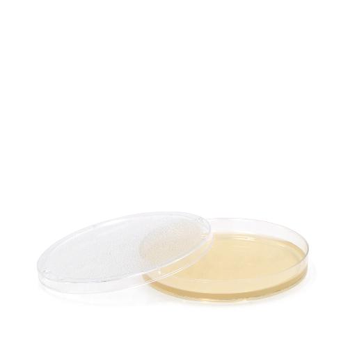 Merckoplate Sabouraud Glucose 2% Agar Nährböden, 10 Stück Merckoplate Sabouraud Glucose 2% Agar Nährböden, 10 Stück