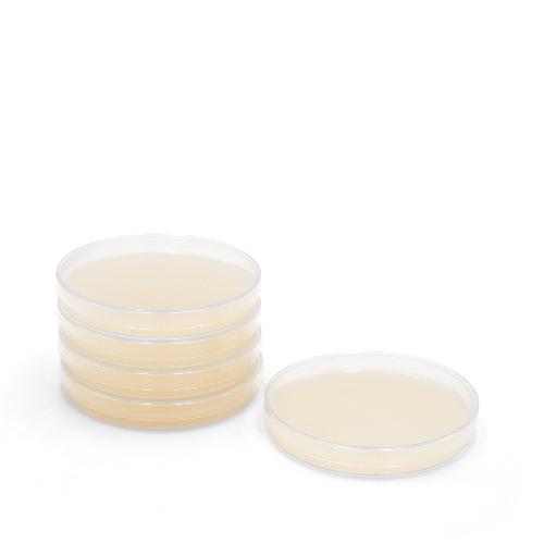 Servoplate Candida Elektiv Agar n. Nickerson, 4 x 5 Stück