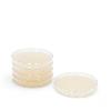 Servoplate Candida Elektiv Agar n. Nickerson, 4 x 5 Stück