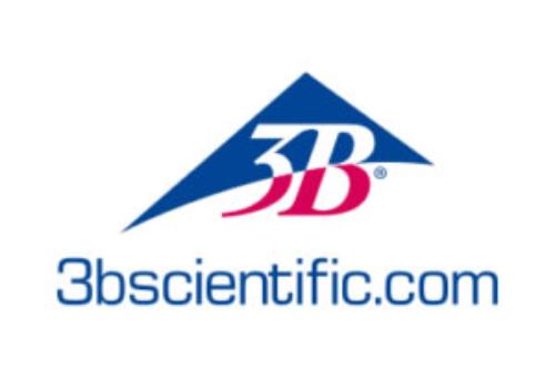 3B Scientific